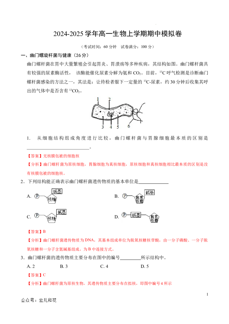 高一生物期中模拟卷（全解全析）（上海专用）_1多考区联考试卷_1021高一期中模拟卷（上海专用）黄金卷：2024-2025学年高一上学期期中模拟考试