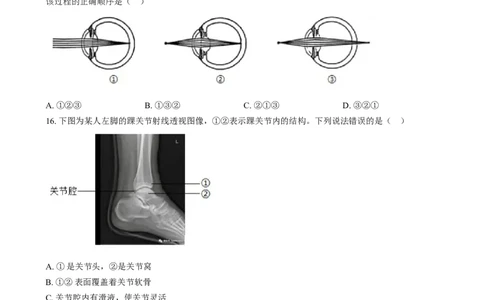 精品解析：2024年河北省八年级中考生物真题（原卷版）_中考真题_8.生物中考真题2015-2024年_2024年中考生物真题_精品解析：2024年河北省八年级中考生物真题