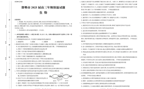 2025届河北省邯郸市高三下学期保温考试生物试题_2025年5月_2505212025届河北省邯郸市高三保温考试试题（全科）_2025届河北省邯郸市高三保温考试生物试题