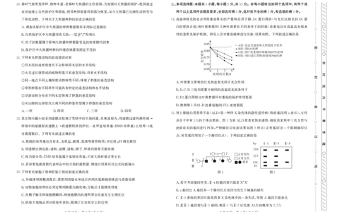2025届河北省邯郸市高三下学期保温考试生物试题_2025年5月_2505212025届河北省邯郸市高三保温考试试题（全科）_2025届河北省邯郸市高三保温考试生物试题