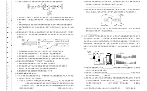 2025届河北省邯郸市高三下学期保温考试生物试题_2025年5月_2505212025届河北省邯郸市高三保温考试试题（全科）_2025届河北省邯郸市高三保温考试生物试题