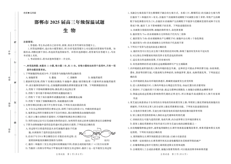 2025届河北省邯郸市高三下学期保温考试生物试题_2025年5月_2505212025届河北省邯郸市高三保温考试试题（全科）_2025届河北省邯郸市高三保温考试生物试题