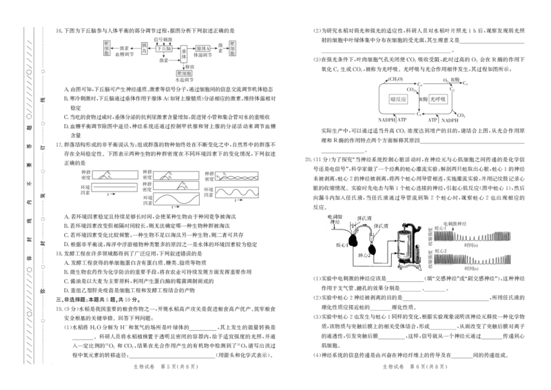2025届河北省邯郸市高三下学期保温考试生物试题_2025年5月_2505212025届河北省邯郸市高三保温考试试题（全科）_2025届河北省邯郸市高三保温考试生物试题