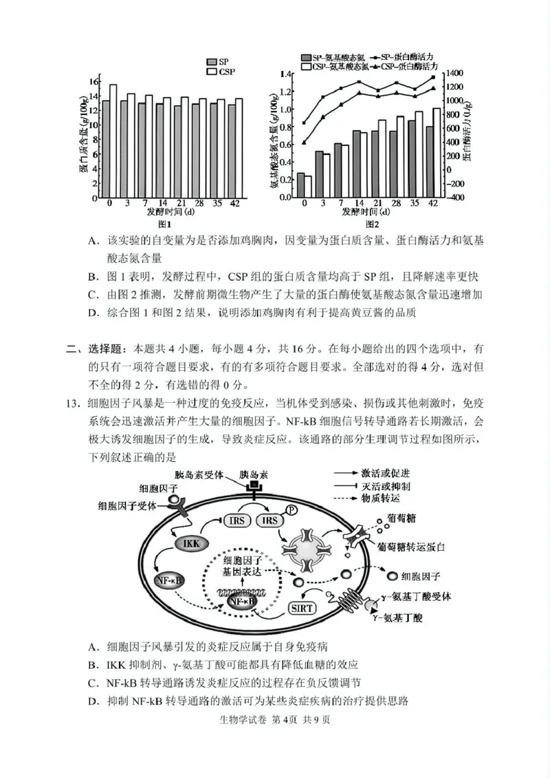 2025年常德市高三年级二模生物试题及答案解析2025高三生物试卷（印刷版）_2025年4月_250401湖南省常德市2025届高三下学期模拟考试（二模）（全科）