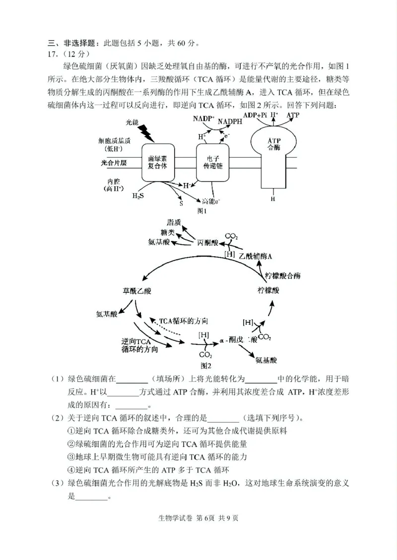 2025年常德市高三年级二模生物试题及答案解析2025高三生物试卷（印刷版）_2025年4月_250401湖南省常德市2025届高三下学期模拟考试（二模）（全科）