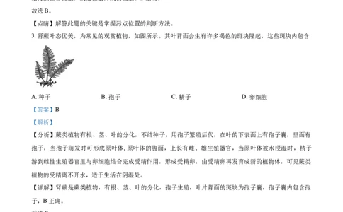 精品解析：山东省聊城市2021年中考生物试题（解析版）_中考真题_8.生物中考真题2015-2024年_2021中考生物真题64份_2021山东省_精品解析：山东省聊城市2021年中考生物试题