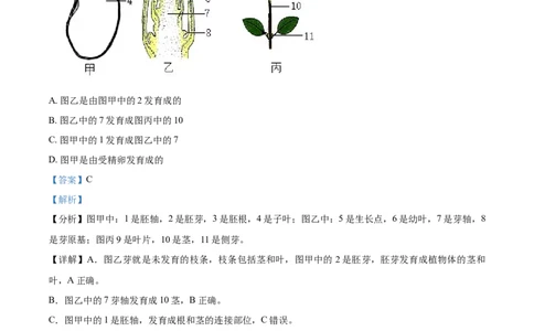 精品解析：山东省聊城市2021年中考生物试题（解析版）_中考真题_8.生物中考真题2015-2024年_2021中考生物真题64份_2021山东省_精品解析：山东省聊城市2021年中考生物试题