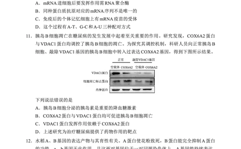 F生物试卷：全国名校联盟2026届高三开学模拟考_2025年8月_250831福建-全国名校联盟2026届高三联合开学摸底考试（全科）_生物