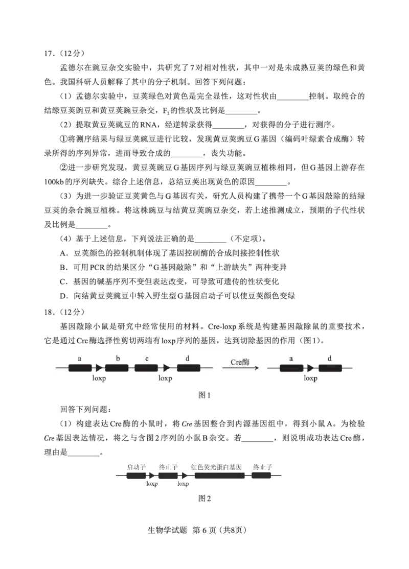F生物试卷：全国名校联盟2026届高三开学模拟考_2025年8月_250831福建-全国名校联盟2026届高三联合开学摸底考试（全科）_生物