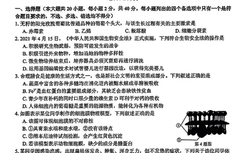 2024学年第二学期浙江省七彩阳光新高考研究联盟返校联考生物+答案_2025年2月_2502172024学年第二学期浙江省七彩阳光新高考研究联盟返校联考（全科）