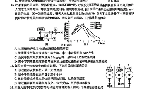 2024学年第二学期浙江省七彩阳光新高考研究联盟返校联考生物+答案_2025年2月_2502172024学年第二学期浙江省七彩阳光新高考研究联盟返校联考（全科）