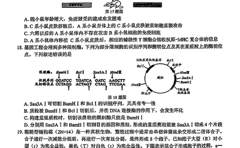 2024学年第二学期浙江省七彩阳光新高考研究联盟返校联考生物+答案_2025年2月_2502172024学年第二学期浙江省七彩阳光新高考研究联盟返校联考（全科）