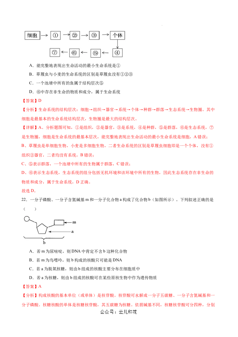 高一生物第一次月考卷（新八省）（全解全析）_1多考区联考试卷_0920（新八省专用）黄金卷：2024-2025学年高一上学期第一次月考（含答题卡word解析版）
