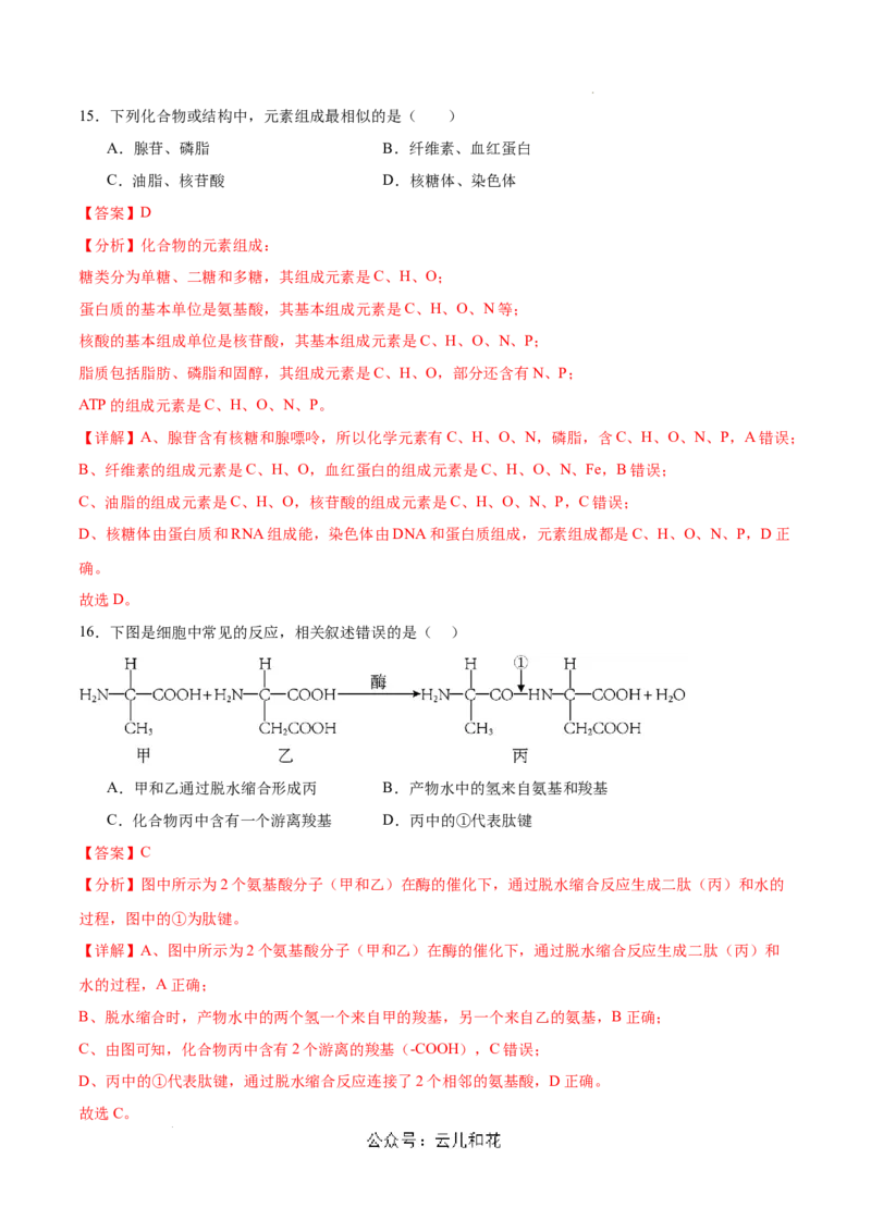高一生物第一次月考卷（新八省）（全解全析）_1多考区联考试卷_0920（新八省专用）黄金卷：2024-2025学年高一上学期第一次月考（含答题卡word解析版）