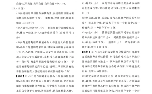 2025届高三年级4月份模拟考生物答案(1)_2025年4月_250408衡水金卷2025届高三年级4月份模拟考（全科）_衡水金卷2025届高三年级4月份模拟考生物试题