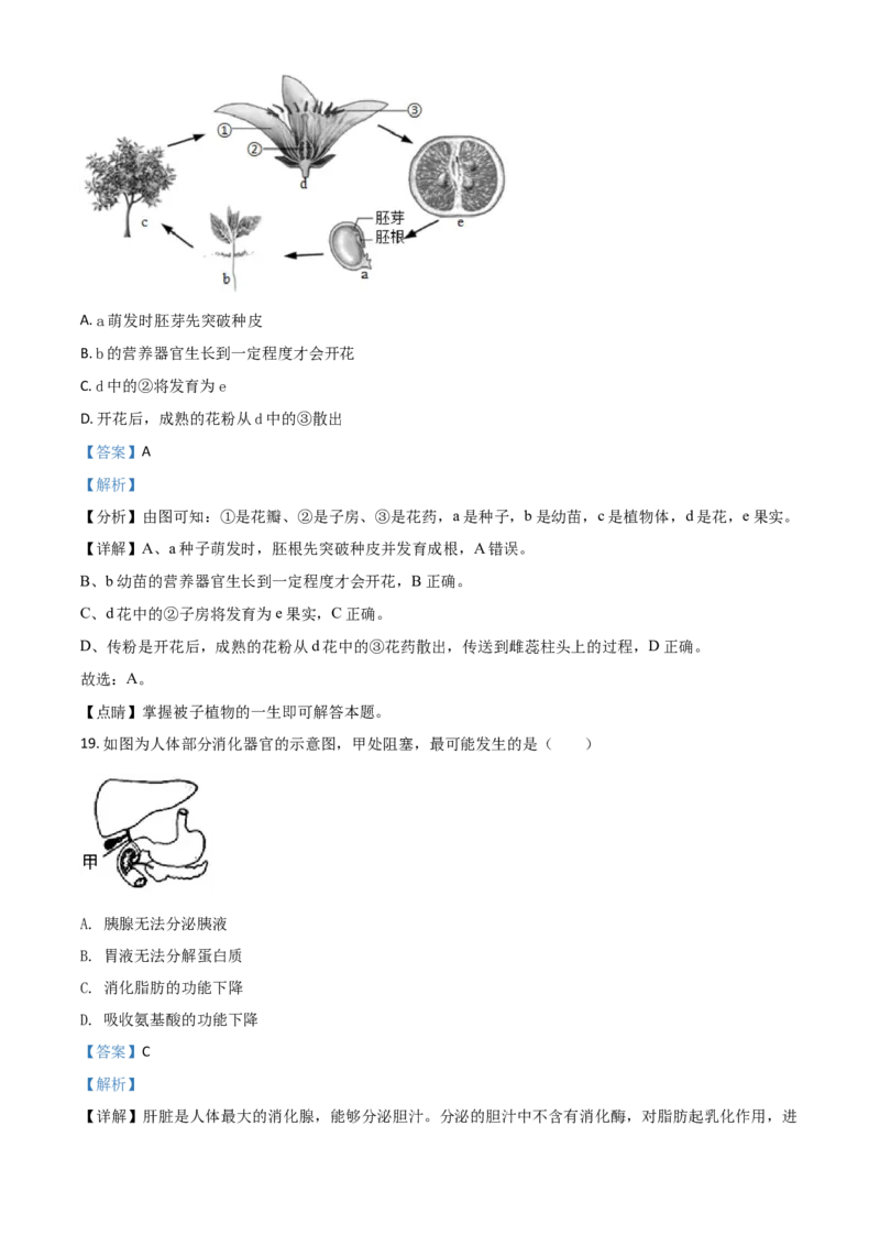 精品解析：全国省级联考广东省2018年初中学业考试生物试题（解析版）_中考真题_8.生物中考真题2015-2024年_地区卷_广东中考生物11-22