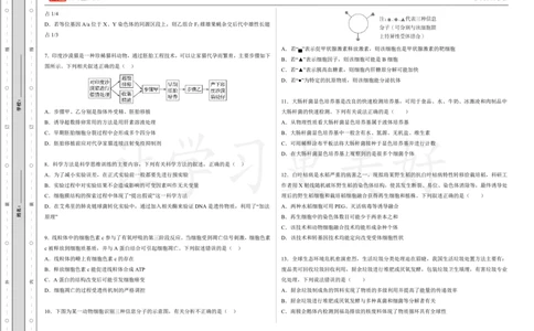 (8.10)-点睛押题卷&mdash;&mdash;广东卷_2024高考押题卷_132024高途全系列_26高途点睛卷_2024点睛密卷-生物