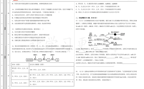 (8.10)-点睛押题卷&mdash;&mdash;广东卷_2024高考押题卷_132024高途全系列_26高途点睛卷_2024点睛密卷-生物