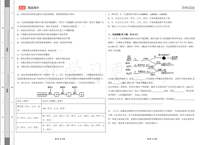 (8.10)-点睛押题卷&mdash;&mdash;广东卷_2024高考押题卷_132024高途全系列_26高途点睛卷_2024点睛密卷-生物