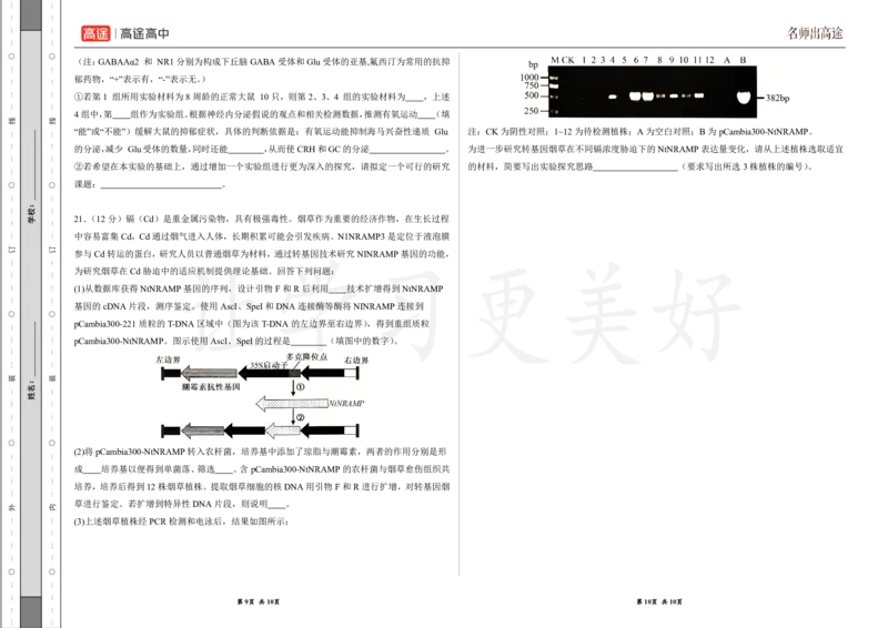 (8.10)-点睛押题卷&mdash;&mdash;广东卷_2024高考押题卷_132024高途全系列_26高途点睛卷_2024点睛密卷-生物