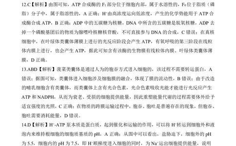 一轮一湖南（N）生物答案_2025年10月_2510182026届百师联盟高三上学期第一次调研考试（10月）（全科）_2026届百师联盟高三上学期第一次调研考试生物试卷（含答案）