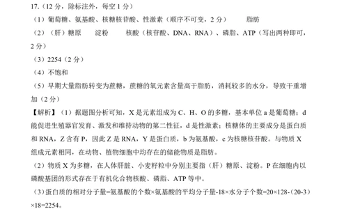 一轮一湖南（N）生物答案_2025年10月_2510182026届百师联盟高三上学期第一次调研考试（10月）（全科）_2026届百师联盟高三上学期第一次调研考试生物试卷（含答案）