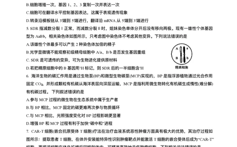2025届吉林省长春市东北师范大学附属中学高三下学期第五次模拟考试生物试题（含答案）_2025年5月_2505312025届吉林省长春市东北师范大学附属中学高三下学期第五次模拟考试（全科）