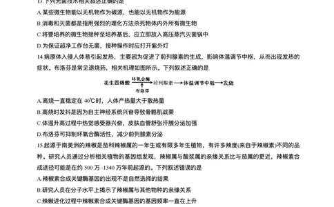 2025届吉林省长春市东北师范大学附属中学高三下学期第五次模拟考试生物试题（含答案）_2025年5月_2505312025届吉林省长春市东北师范大学附属中学高三下学期第五次模拟考试（全科）