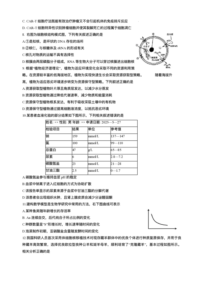 2025届吉林省长春市东北师范大学附属中学高三下学期第五次模拟考试生物试题（含答案）_2025年5月_2505312025届吉林省长春市东北师范大学附属中学高三下学期第五次模拟考试（全科）