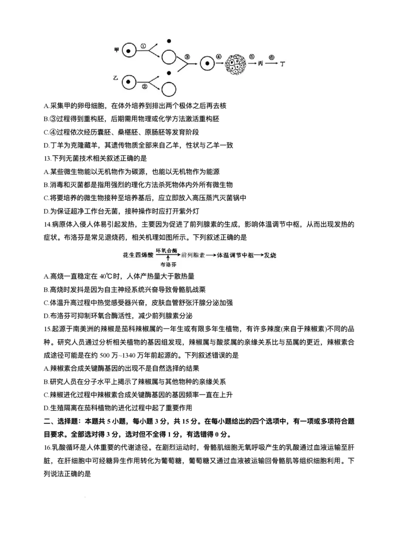 2025届吉林省长春市东北师范大学附属中学高三下学期第五次模拟考试生物试题（含答案）_2025年5月_2505312025届吉林省长春市东北师范大学附属中学高三下学期第五次模拟考试（全科）