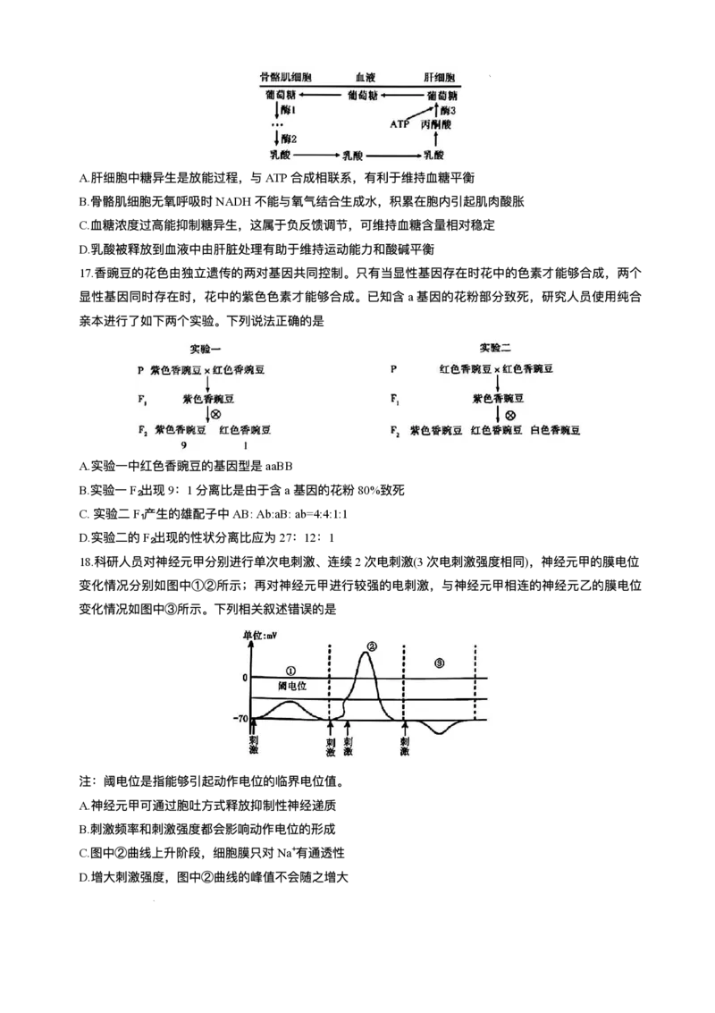 2025届吉林省长春市东北师范大学附属中学高三下学期第五次模拟考试生物试题（含答案）_2025年5月_2505312025届吉林省长春市东北师范大学附属中学高三下学期第五次模拟考试（全科）
