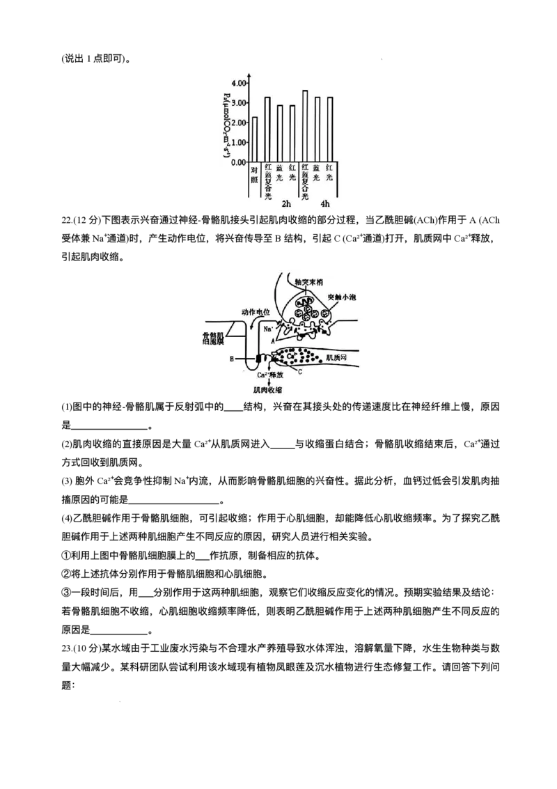 2025届吉林省长春市东北师范大学附属中学高三下学期第五次模拟考试生物试题（含答案）_2025年5月_2505312025届吉林省长春市东北师范大学附属中学高三下学期第五次模拟考试（全科）
