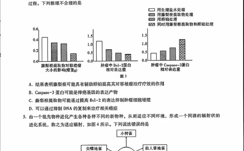 内蒙古包头市2025届高三下学期4月二模试题生物含答案_2025年4月_250423内蒙古包头市2025届高三下学期4月二模（全科）