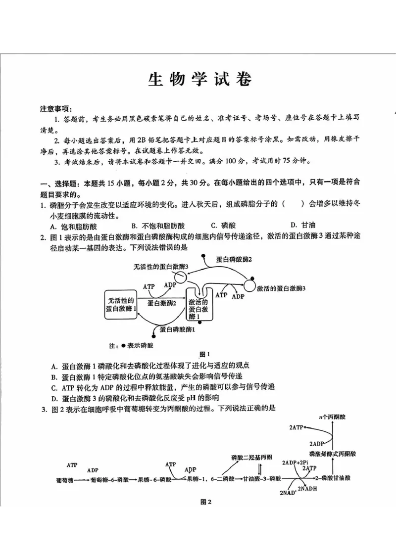 内蒙古包头市2025届高三下学期4月二模试题生物含答案_2025年4月_250423内蒙古包头市2025届高三下学期4月二模（全科）