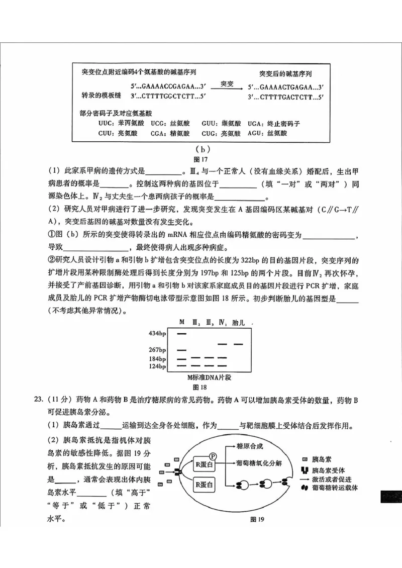 内蒙古包头市2025届高三下学期4月二模试题生物含答案_2025年4月_250423内蒙古包头市2025届高三下学期4月二模（全科）
