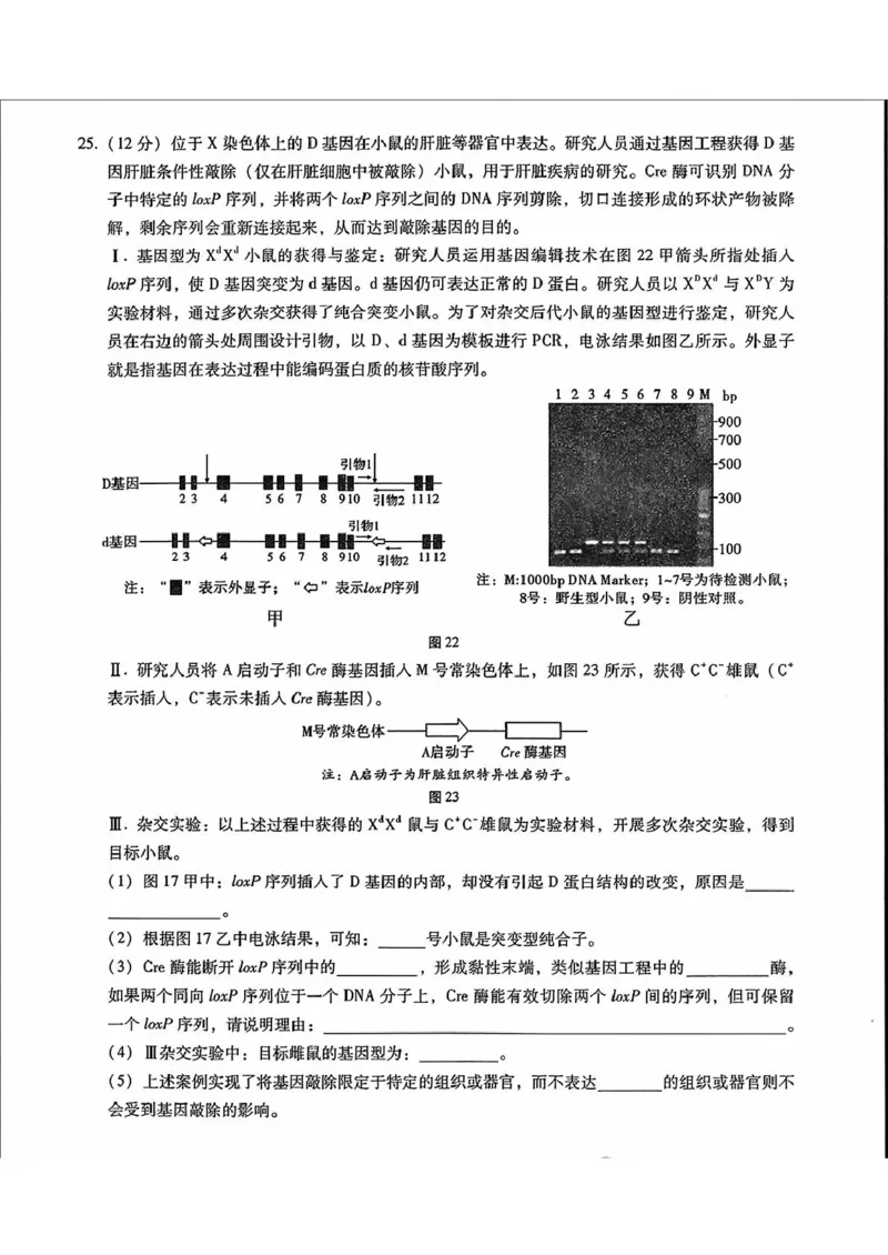 内蒙古包头市2025届高三下学期4月二模试题生物含答案_2025年4月_250423内蒙古包头市2025届高三下学期4月二模（全科）