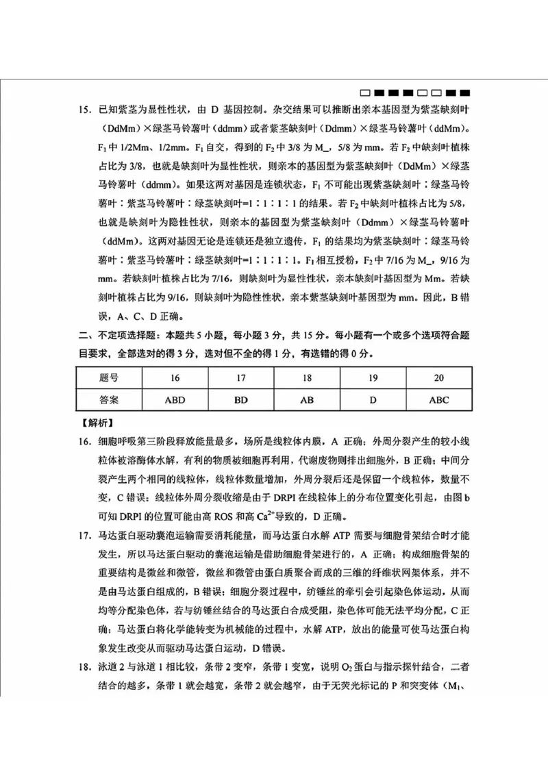 内蒙古包头市2025届高三下学期4月二模试题生物含答案_2025年4月_250423内蒙古包头市2025届高三下学期4月二模（全科）