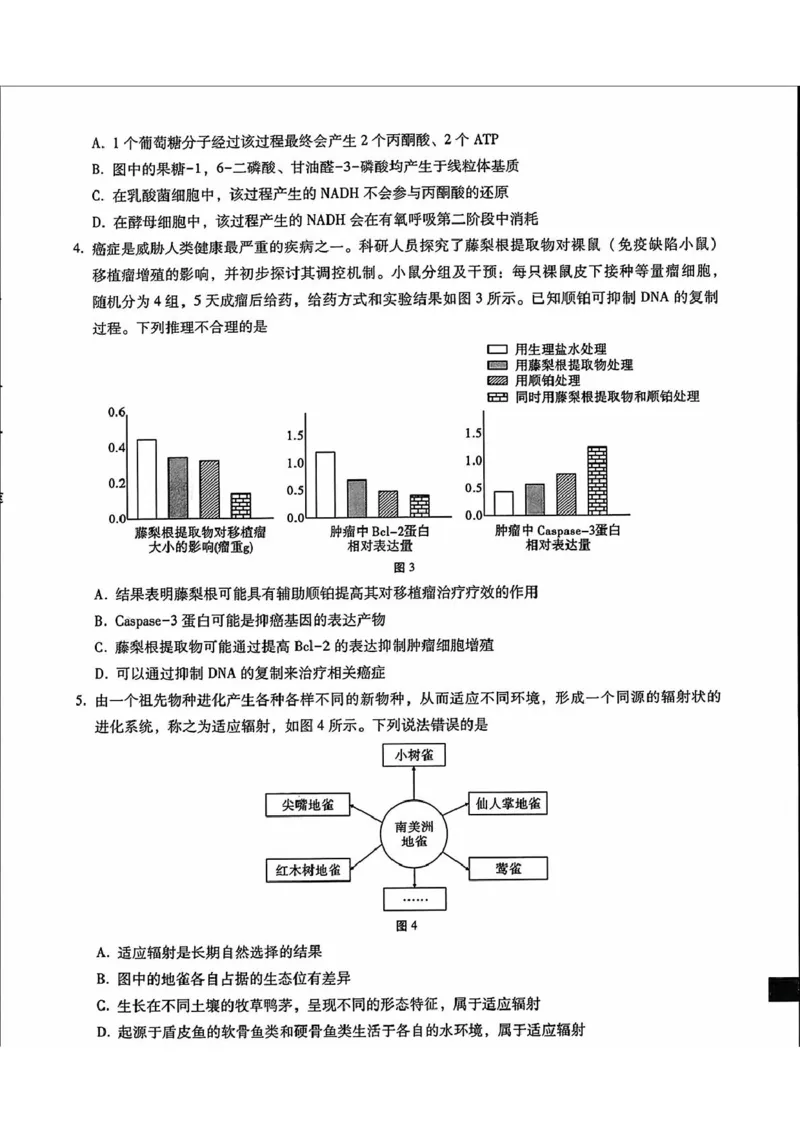 内蒙古包头市2025届高三下学期4月二模试题生物含答案_2025年4月_250423内蒙古包头市2025届高三下学期4月二模（全科）