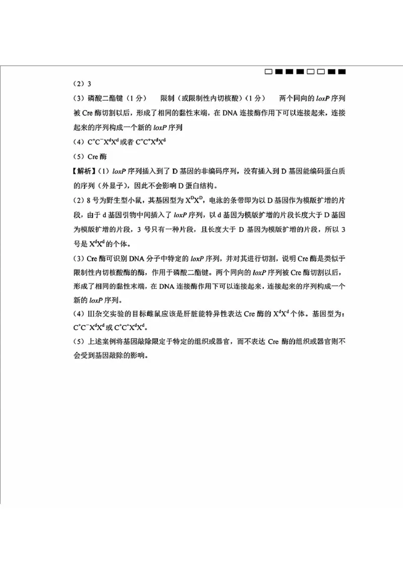 内蒙古包头市2025届高三下学期4月二模试题生物含答案_2025年4月_250423内蒙古包头市2025届高三下学期4月二模（全科）