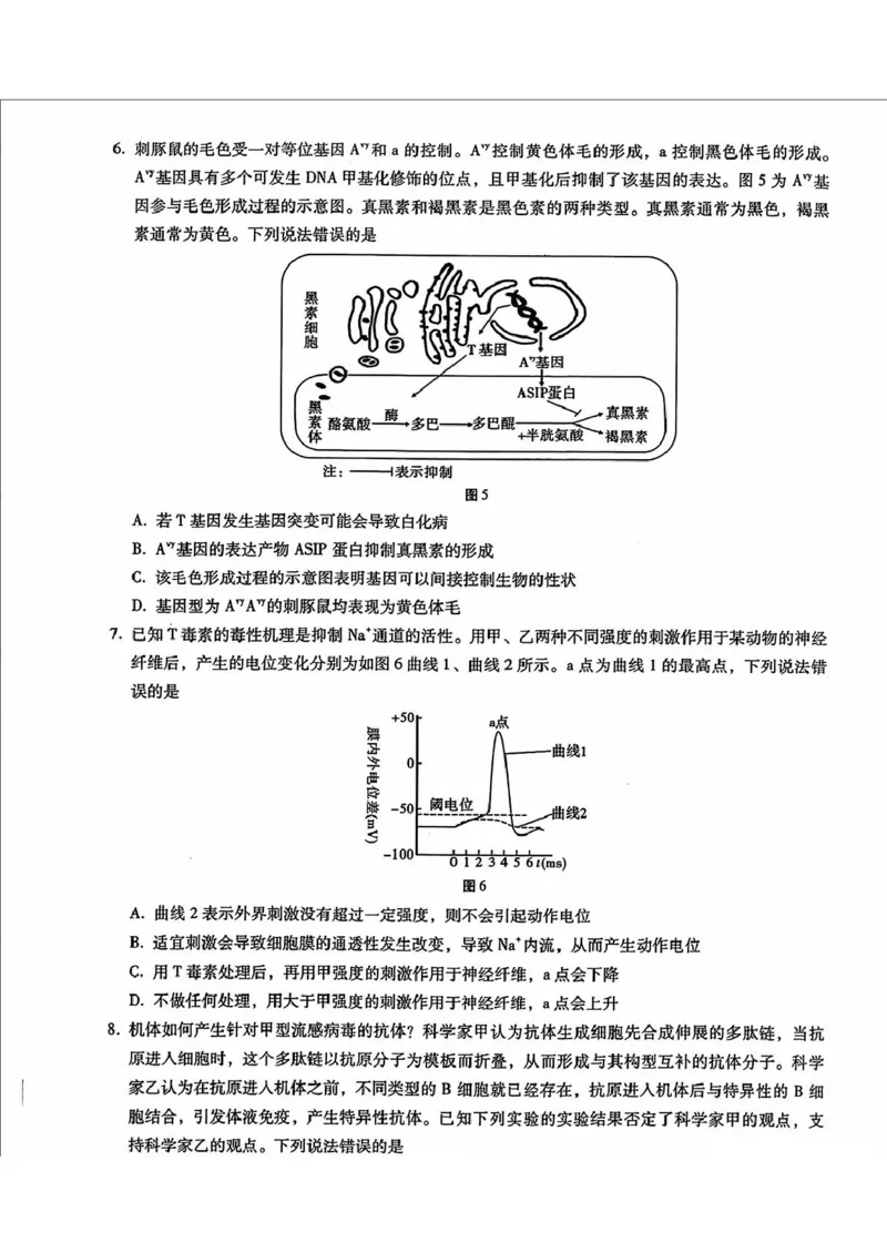 内蒙古包头市2025届高三下学期4月二模试题生物含答案_2025年4月_250423内蒙古包头市2025届高三下学期4月二模（全科）