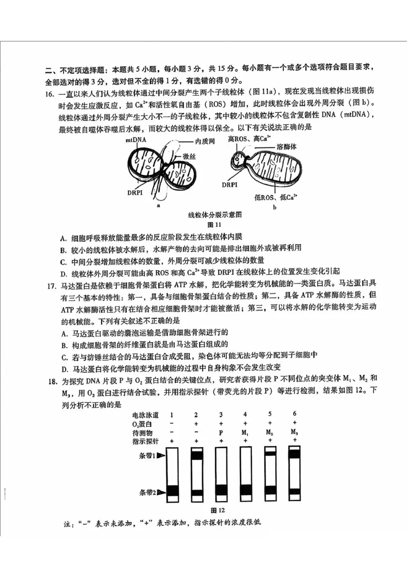 内蒙古包头市2025届高三下学期4月二模试题生物含答案_2025年4月_250423内蒙古包头市2025届高三下学期4月二模（全科）
