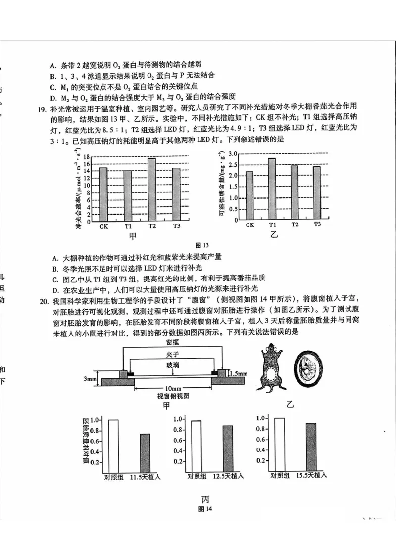 内蒙古包头市2025届高三下学期4月二模试题生物含答案_2025年4月_250423内蒙古包头市2025届高三下学期4月二模（全科）