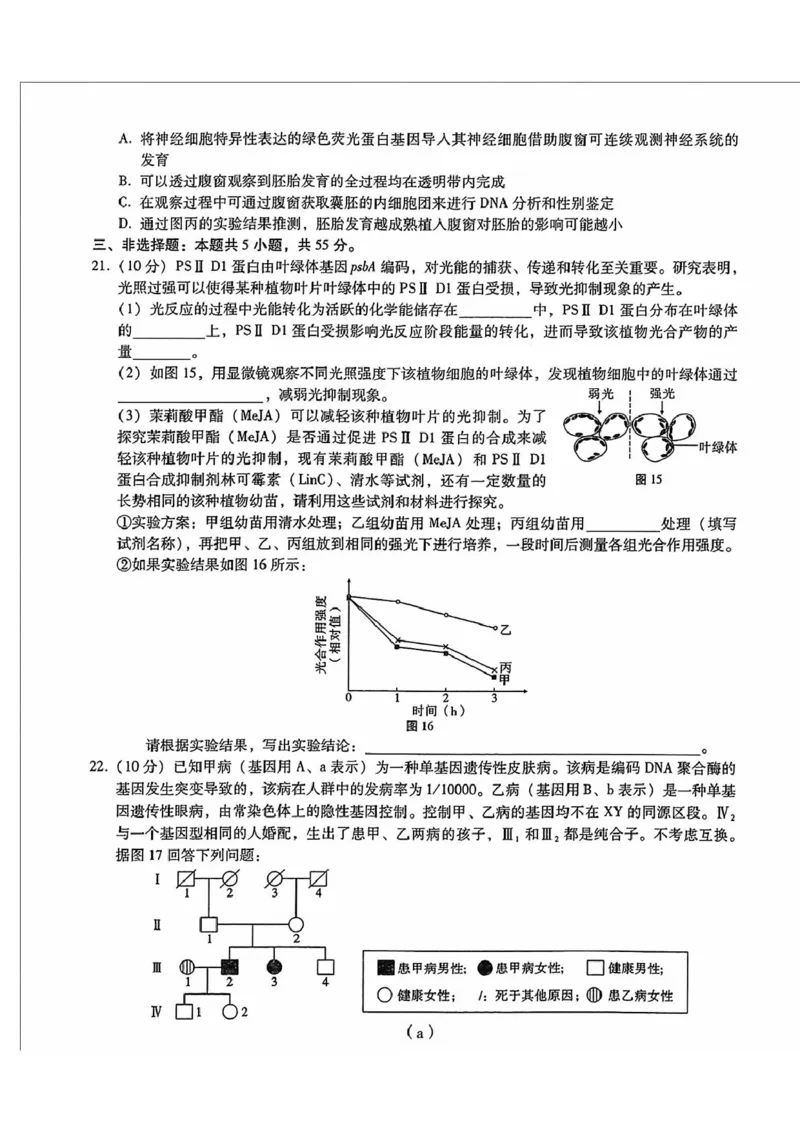 内蒙古包头市2025届高三下学期4月二模试题生物含答案_2025年4月_250423内蒙古包头市2025届高三下学期4月二模（全科）