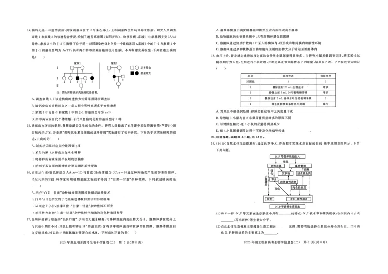 2025年湖北省新高考信息卷（二）生物_2025年5月_2505142025年湖北省新高考信息卷（二）（全科）