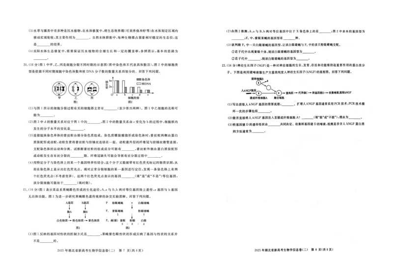 2025年湖北省新高考信息卷（二）生物_2025年5月_2505142025年湖北省新高考信息卷（二）（全科）