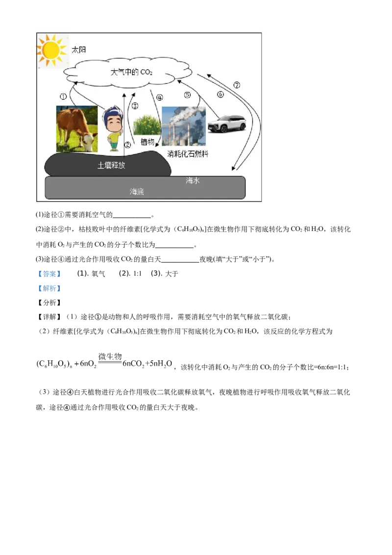 精品解析：四川省泸州市2021年中考化学试题（解析版）_中考真题_5.化学中考真题2015-2024年_地区卷_四川省_四川泸州化学12-22