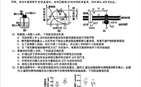 2025届浙江省县域教研联盟高三模拟生物试卷及答案_2025年5月_250510浙江省县域教研联盟2025年5月高三模拟考试（全科）