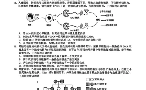 2025届浙江省县域教研联盟高三模拟生物试卷及答案_2025年5月_250510浙江省县域教研联盟2025年5月高三模拟考试（全科）