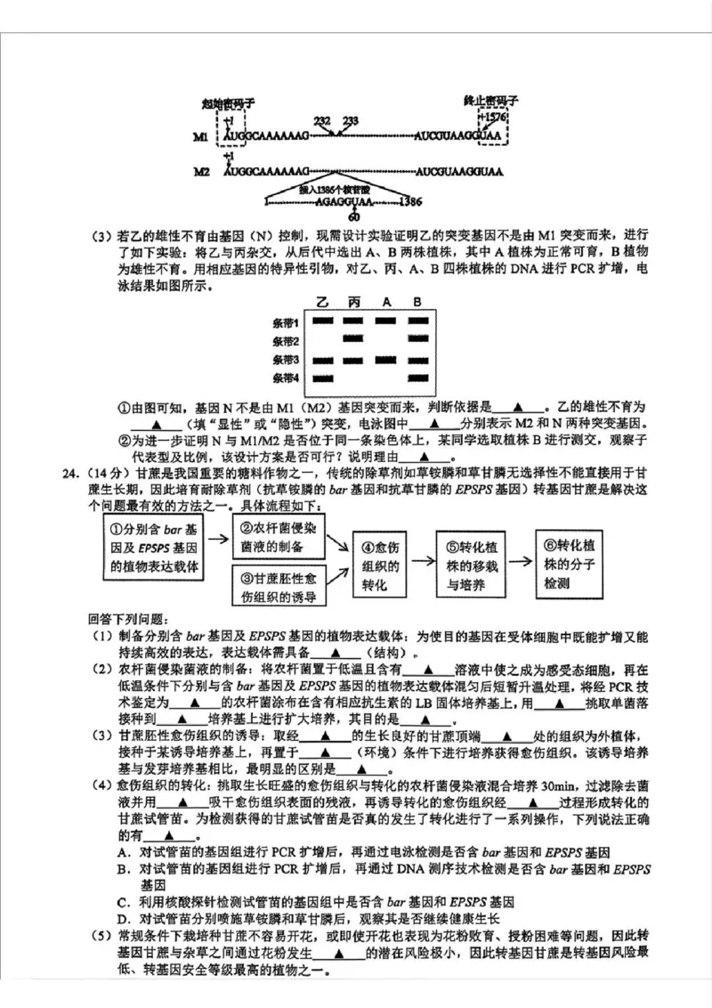 2025届浙江省县域教研联盟高三模拟生物试卷及答案_2025年5月_250510浙江省县域教研联盟2025年5月高三模拟考试（全科）