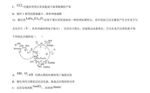 辽宁省五校联考（大连市二十四中学、大连八中、辽宁省实验中学、鞍山一中、东北育才学校）2024届高三上学期期末考试化学